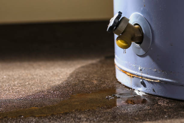 Best Water damage restoration near me  in Escondido, CA
