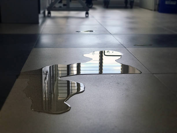 Best Carpet water damage restoration  in Escondido, CA