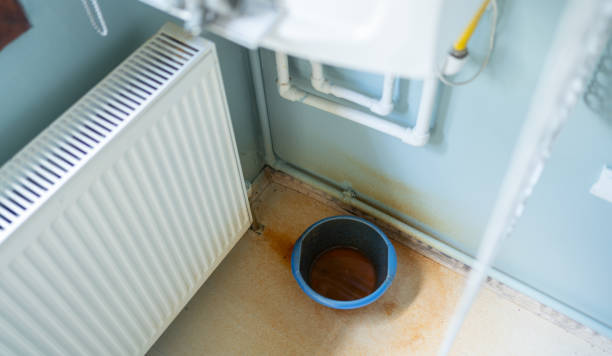 Best Water damage restoration insurance claims  in Escondido, CA