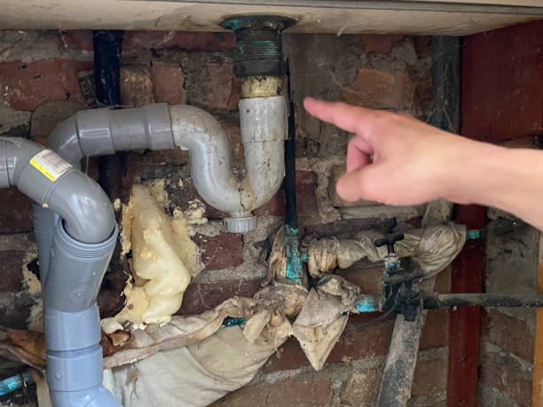 Water damage restoration mold remediation in Escondido, CA