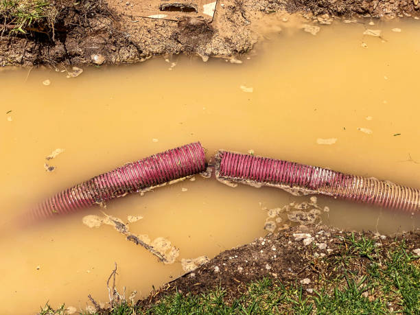 Best Water damage restoration near me  in Escondido, CA