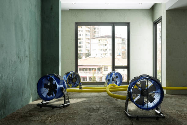 Best Water damage cleanup near me  in Escondido, CA